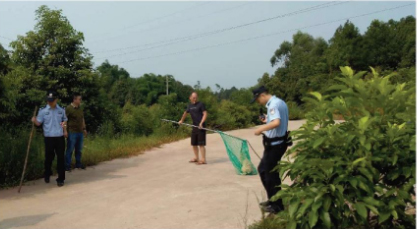 打狗队在处理犬只.&nbsp; 成都商报 图