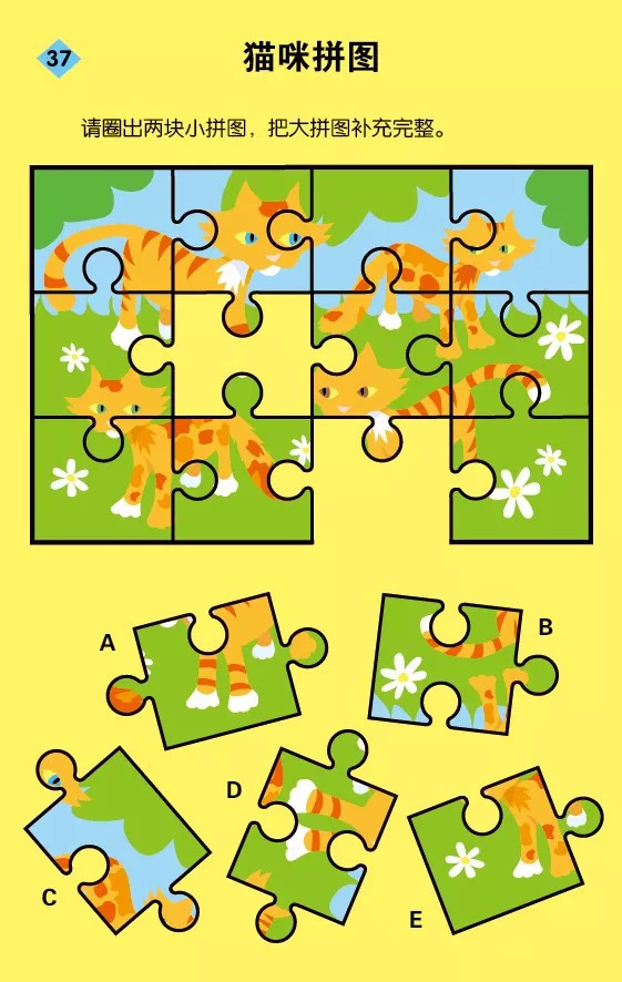 团购抓住智力开发黄金期这样玩让孩子越玩越聪明