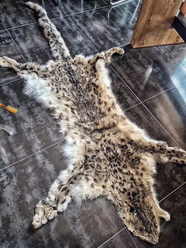 壹现场丨公然在朋友圈叫卖濒危动物雪豹皮 哥们你违法了!