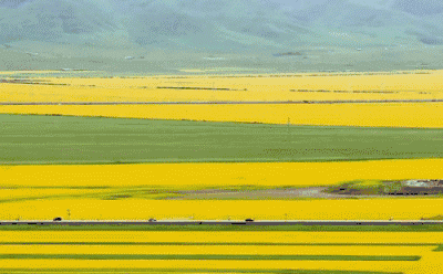 400_248gif 动态图 动图