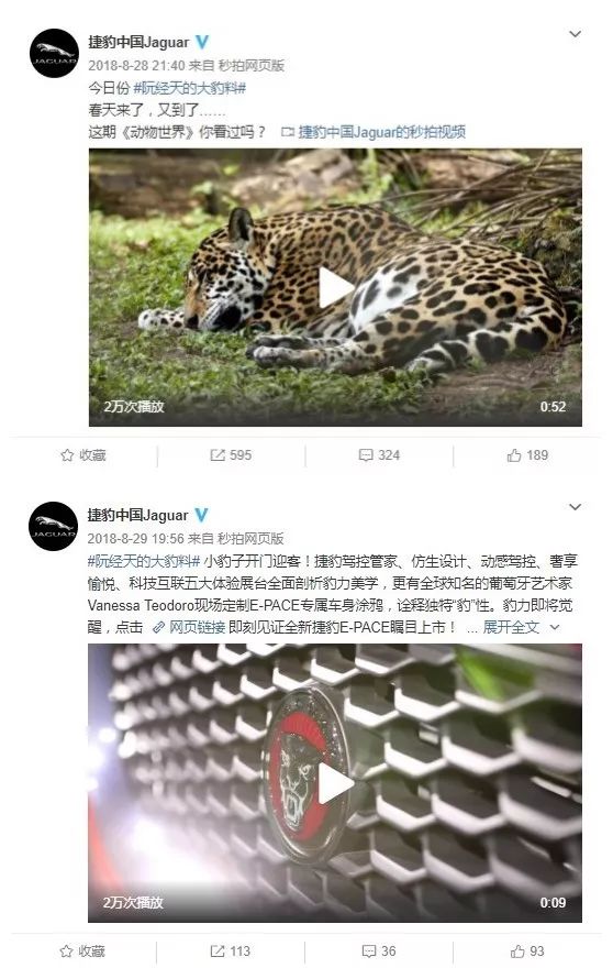 捷豹E-PACE向个性青年靠拢，阮经天驾驭“豹”性时刻