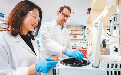 美国科学家与中国研究员在劳伦斯伯克利国家实验室做实验。资料图片