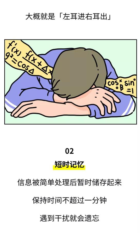 为什么人类天生忘性大