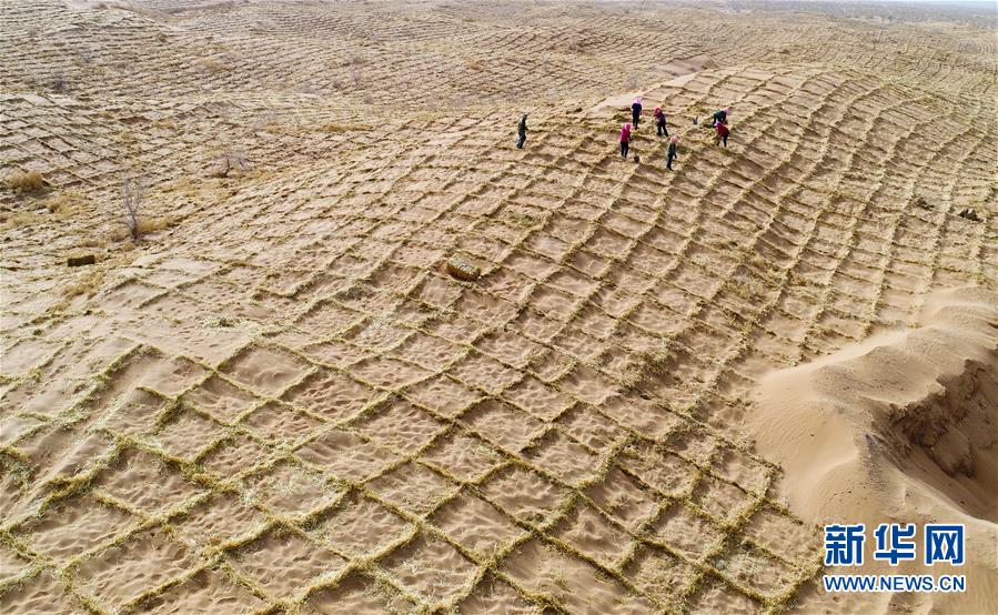 连年来,临泽县持续防沙治沙,筑牢生态安全屏障,目前已建成防风固沙林