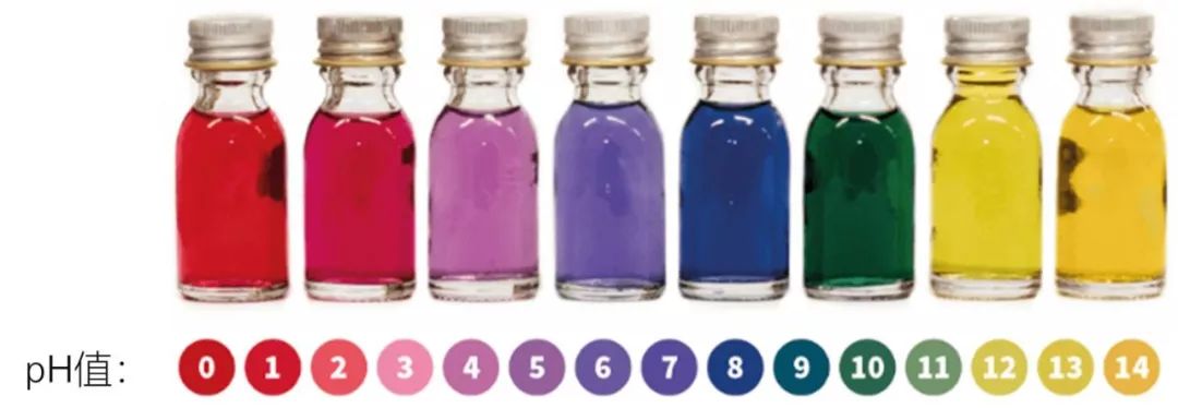 还有"青出于蓝,而胜于蓝"的靛青;从茜草,红花提取的茜素红,红花苷;从