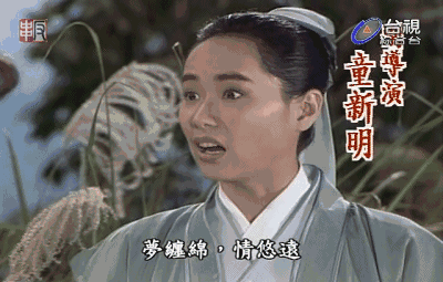 流星花园vs白蛇传同日回归谁是你pick的童年回忆