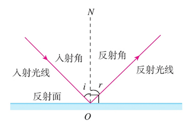 为加强孩子对"光的反射"的理解,可以使用手电筒和镜子为他演示.