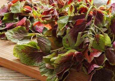 杏仁菜有什么功效作用