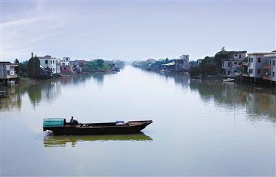 南沙珠江街:打造更清更美更好的水生态环境