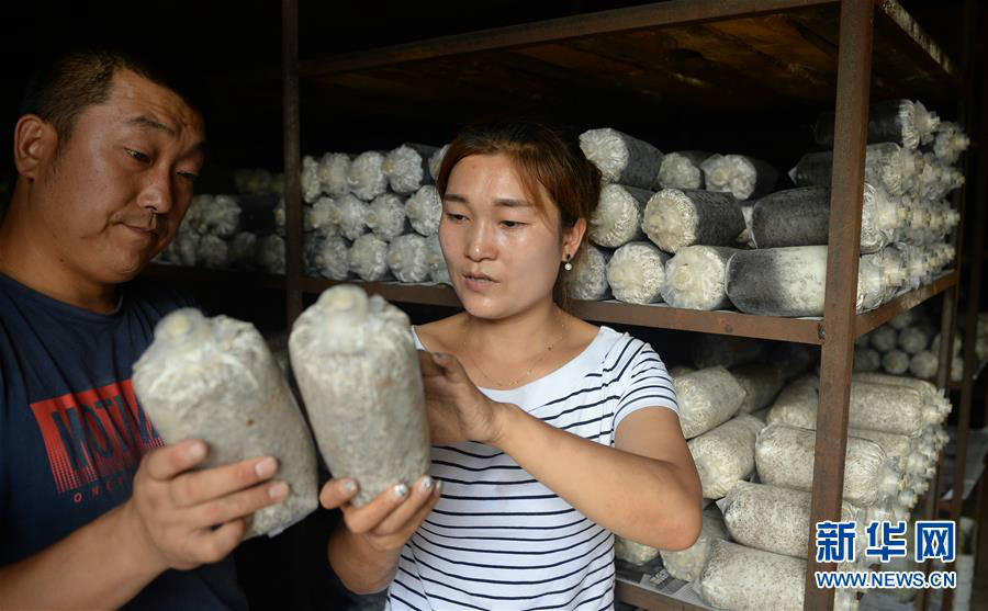 创业者罗婵:回到大山 与乡邻共同脱贫致富(组图)