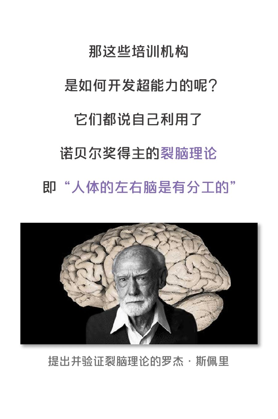 1分钟读10万字,蒙着眼能看书……量子波动速读法到底有多野?