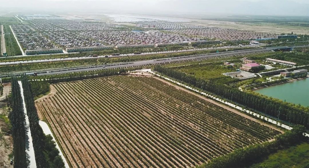 闽宁镇20年:从"干沙滩"到"金沙滩"