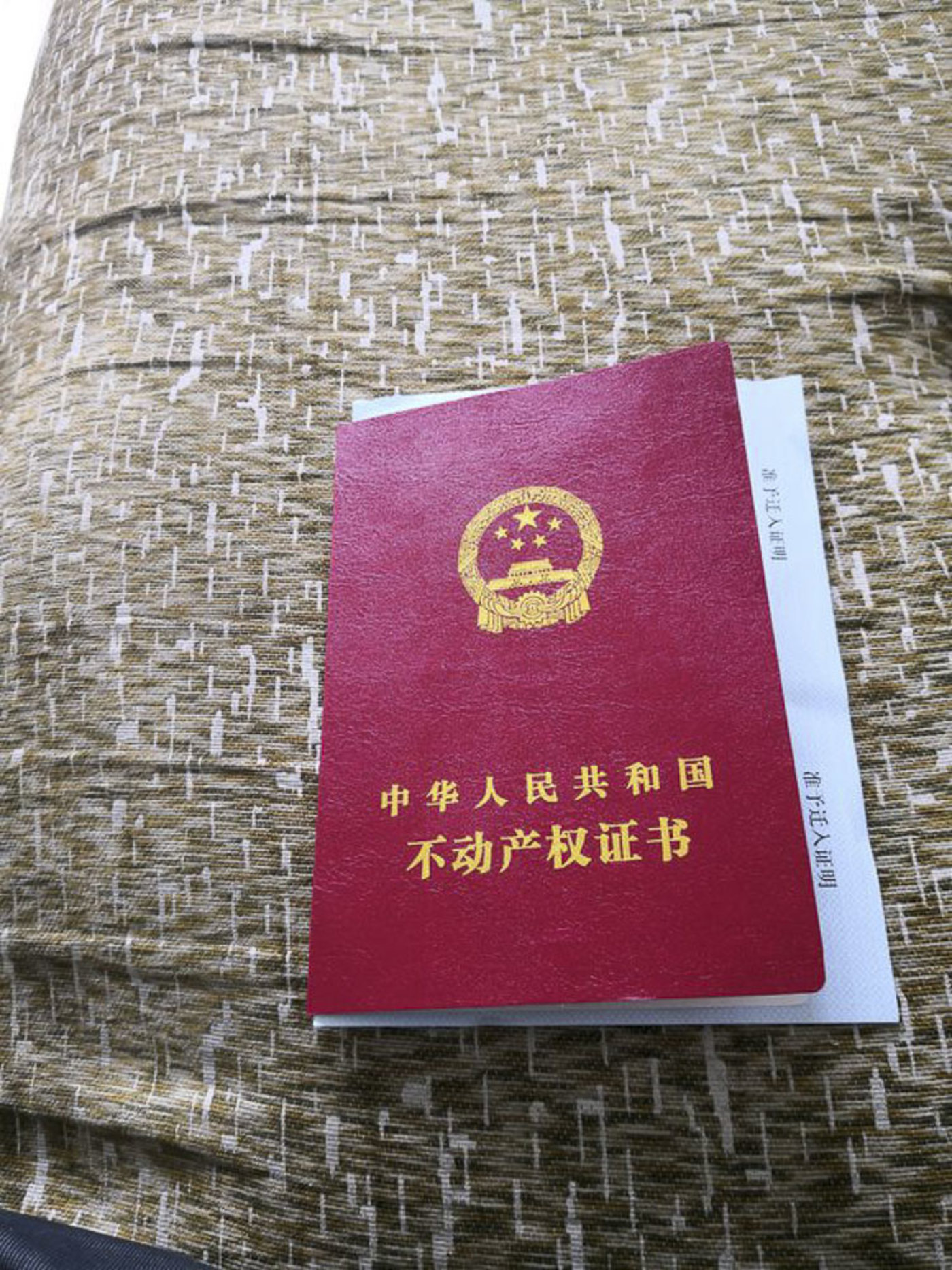 流浪到鹤岗我五万块买了套房