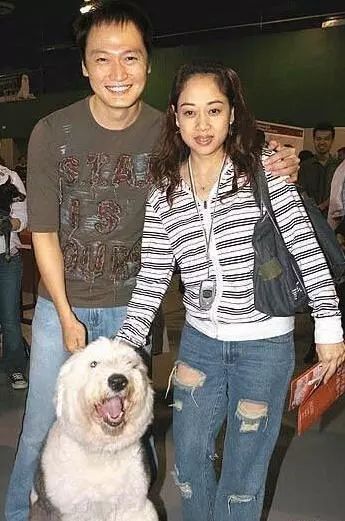 陶大宇|郭羡妮_新浪新闻
