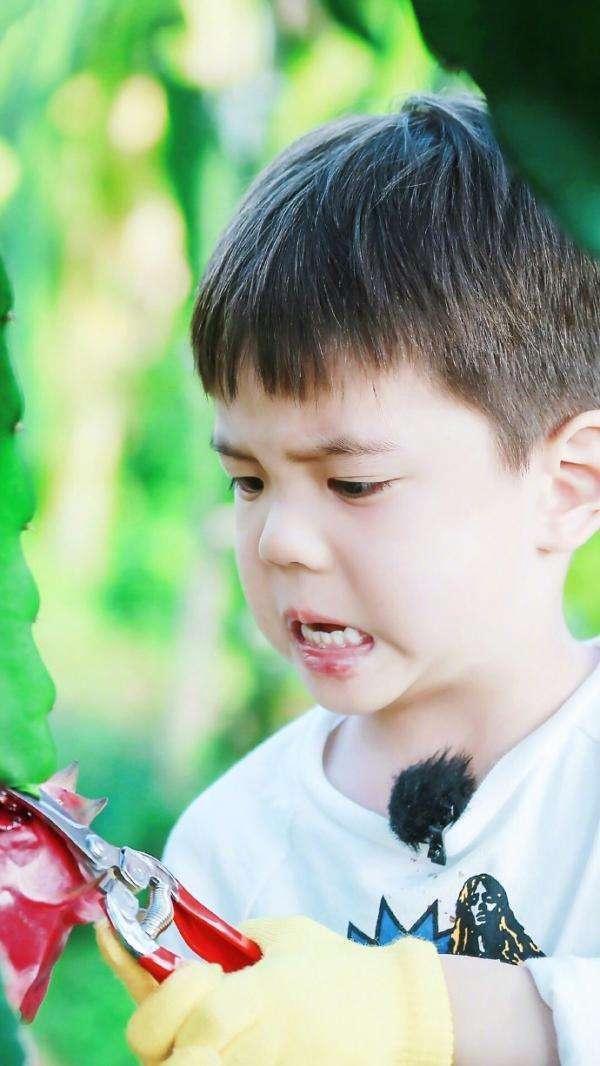 嗯哼大王的名字就霸气了,叫做杜宇麒,感觉还是嗯哼大王叫着舒服啊