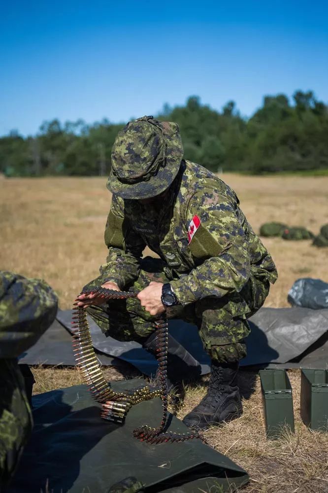 加拿大陆军实弹射击训练 车载机枪成为主角 漂亮女兵担任驾驶员