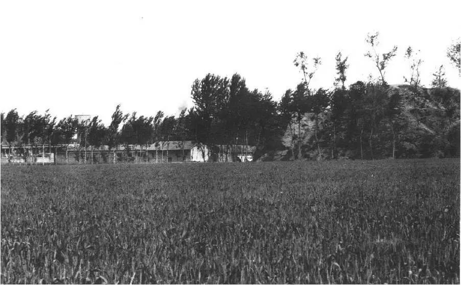 二里头发掘60年︱许宏:从徐旭生先生"夏墟"调查说开去