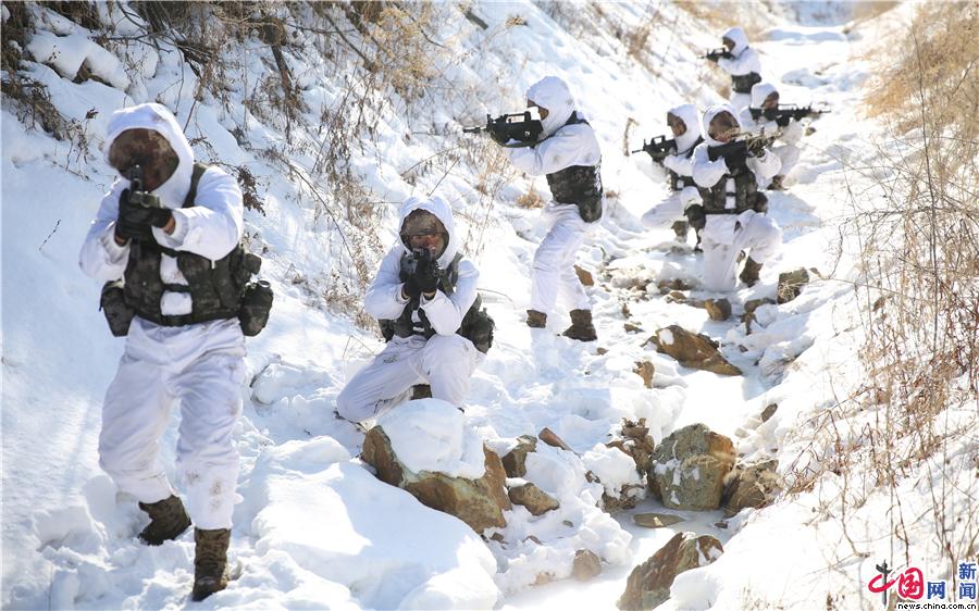 某合成旅官兵雪地冬训隔着屏幕感受到了力量