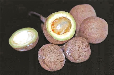 想做中国最懂水果的那个人