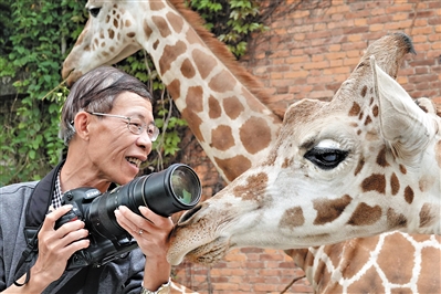 他用十年拍摄"动物世界"|新奥尔良鹈鹕|广州动物园|动物_新浪新闻