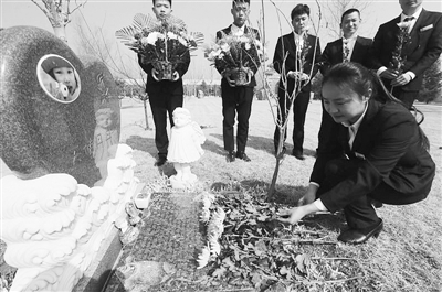 清明将至,河北三河灵山宝塔陵园职工不忘传统——为天使丹丹祭扫陵墓.