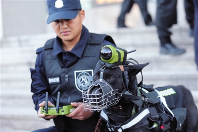 130余警犬来京比武
