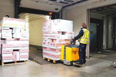 在荷兰郁金香经销商西尔丰达公司仓库里，工人在搬运包装好的郁金香鲜花。