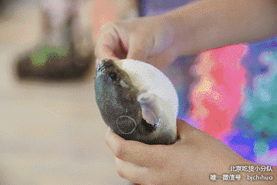 亚洲最大小区,天通苑人怎么吃|天通苑|店名|河豚_新浪新闻