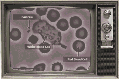 400_268gif 动态图 动图