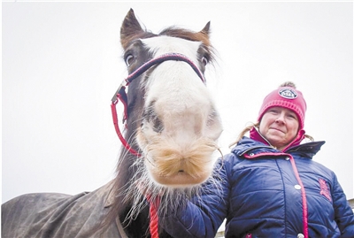 马界关公英国马长两撇大胡子