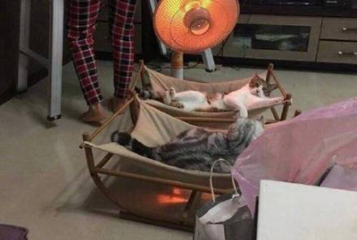 国资委主任回应南方冬季供暖：潜力巨大