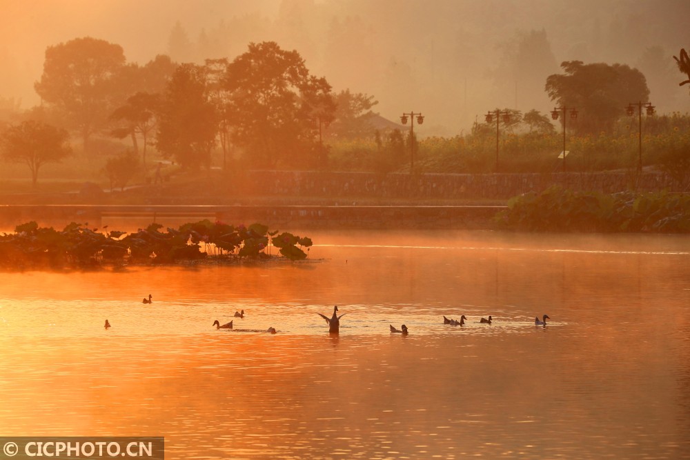 安徽西递:初秋皖南明镜湖 雾气氤氲恍如仙境