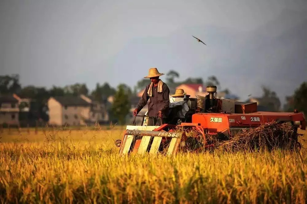 透视如何看待中国农业改革40年外媒给出中肯评价