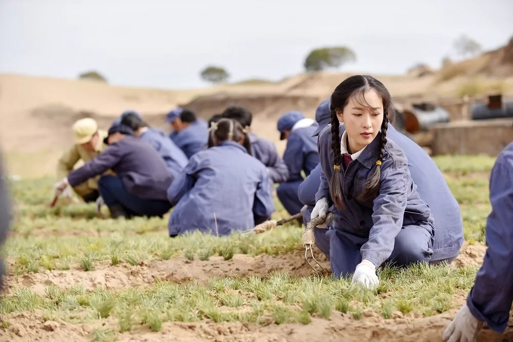 官媒评电视剧《最美的青春》:一扫电视荧屏的浮华和脂粉气