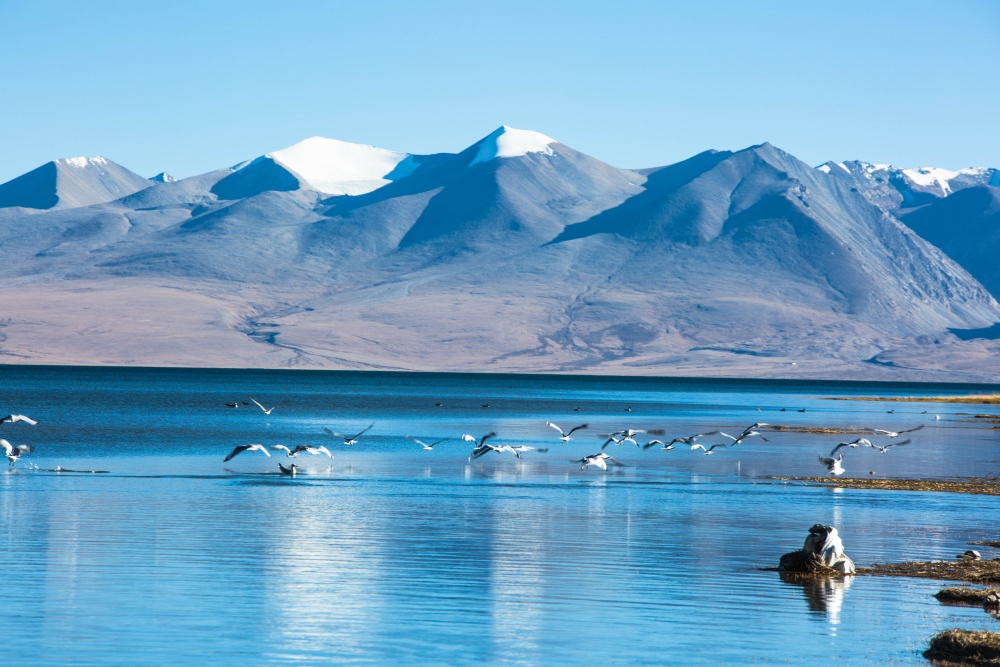 虽然印度官方认为恒河的源头是巴吉拉蒂河,发源自印度北部阿坎德邦的