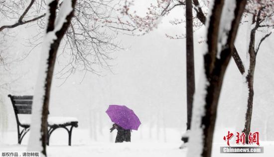 资料图:美国东北部地区遭遇暴雪。
