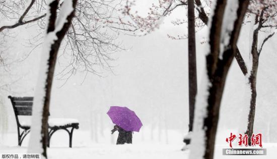 资料图：美国东北部地区遭遇暴雪。