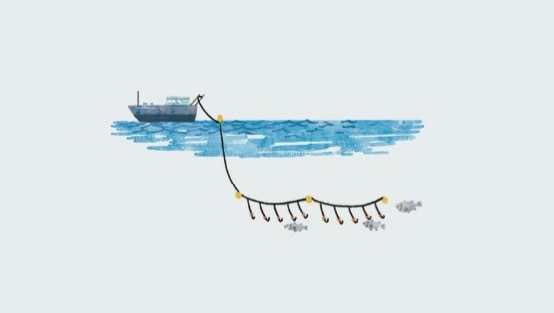 从爱知到昆明|过度捕捞下,海洋生机何去何从