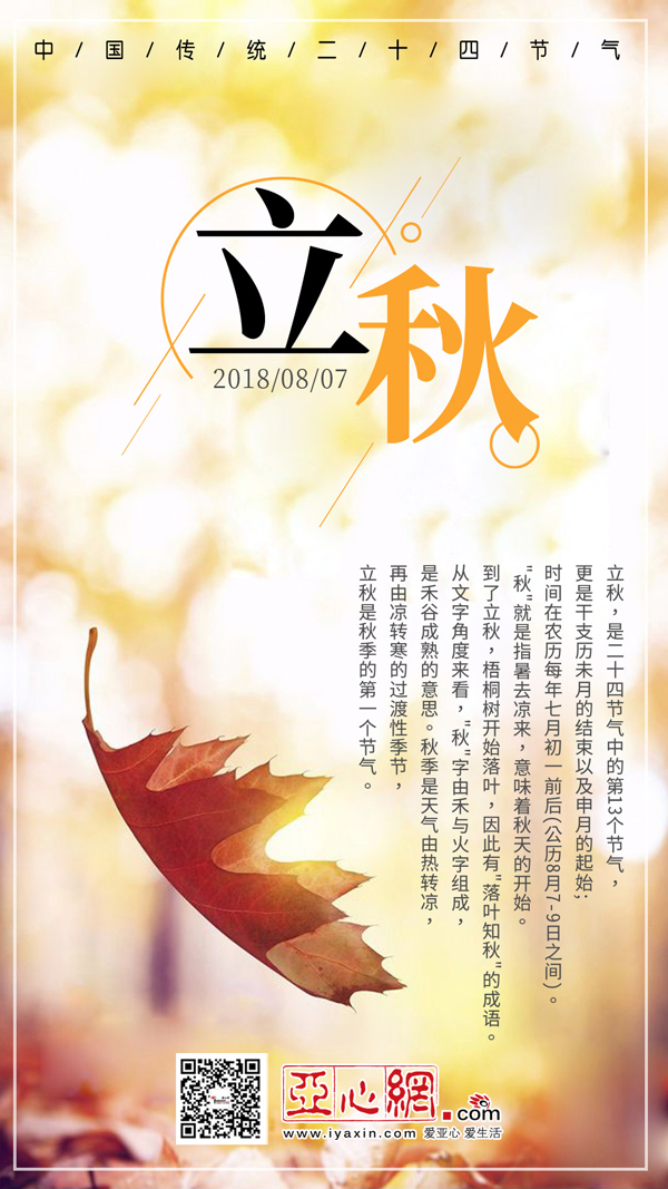 二十四节气之立秋——梧桐落叶知立秋，禾谷成熟稻丰收|二十四节气|禾谷|梧桐_新浪新闻