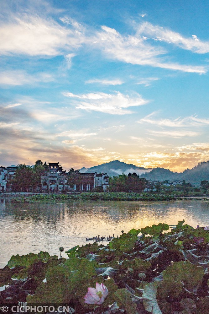 安徽黄山:夏日西递古村落景美如画