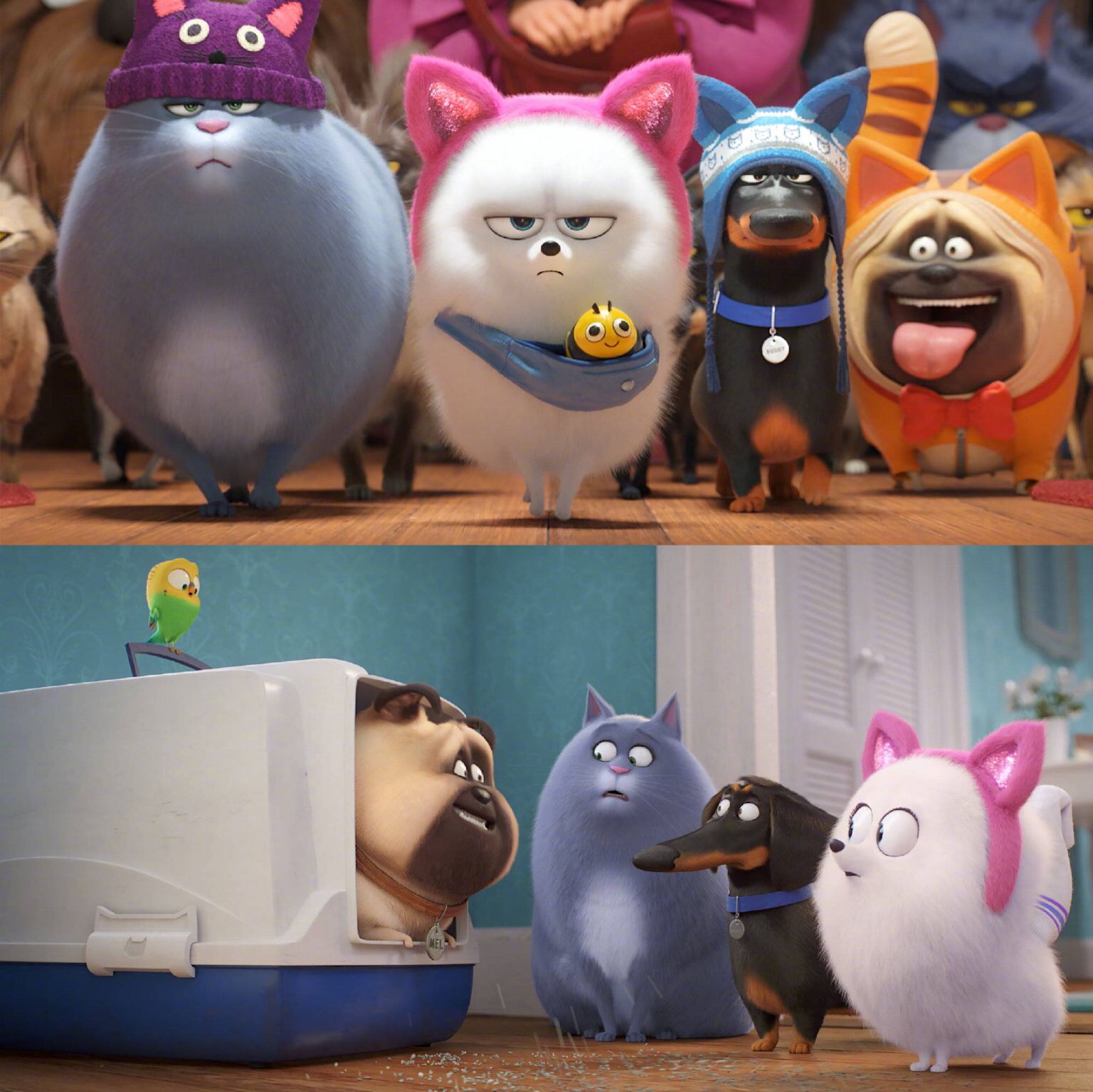 高科技养狗撸猫宠物迈进智能家居时代