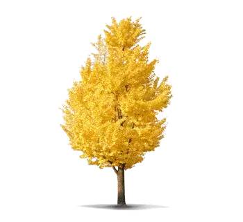 以红色旗帜引领奋进之路丨国家能源脊梁系列报