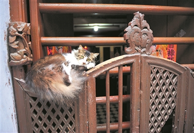 趟栊门前风清凉