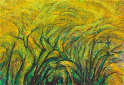 蒋勋我们怕面对身体下个十年想画人