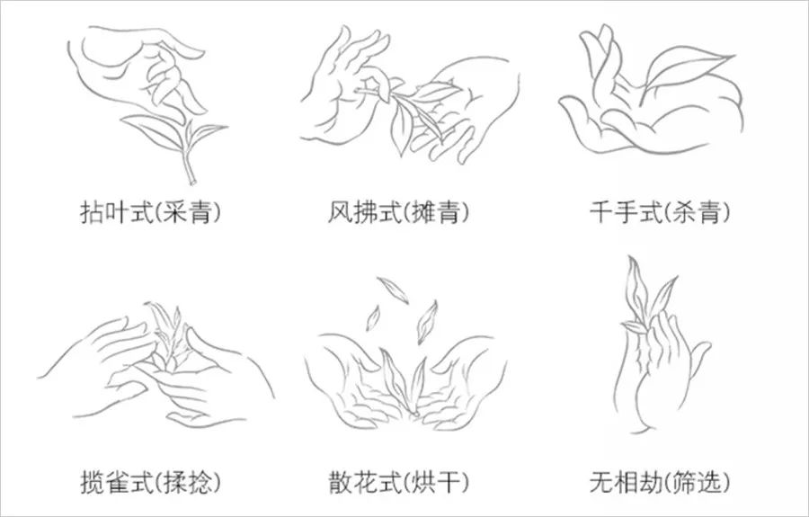 80后茶博物馆馆长,11年喝上万杯茶,"茶让人安静" | 百匠大集