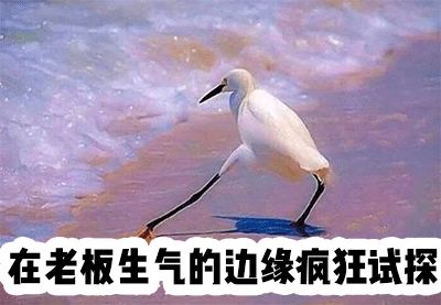 徐老师包包里有什么真是好惨一女的