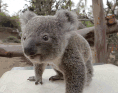 你过来我想和你睡个觉