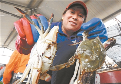 图为6日,赣榆海头港渔民加紧捕捞分拣,装车外运,满足市场需求.