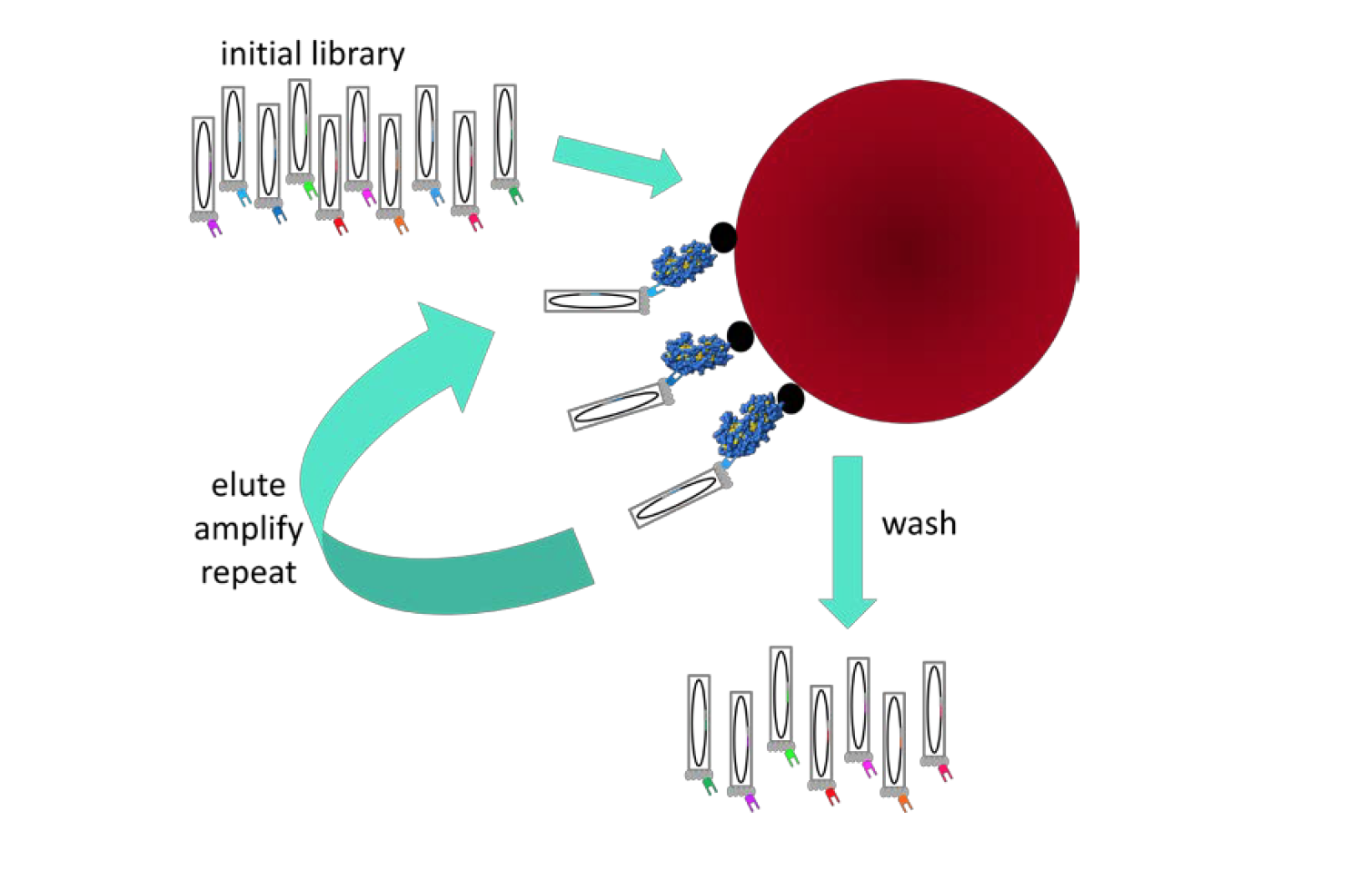 Initialize library. Км плеер. Initialize library. Технология selex asp. "selex p4136".