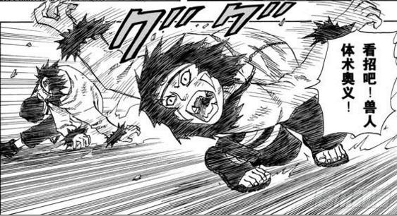 火影忍者木叶十二忍大半不擅长忍术这还是传说之中的忍者么